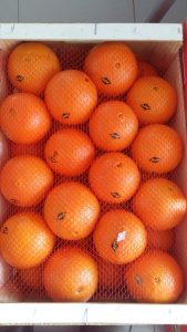 Oranges-Holzkiste